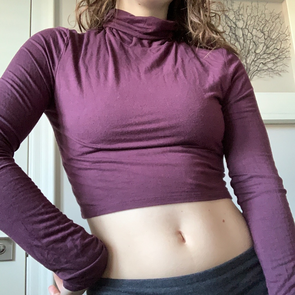 Aritzia Talula Burgundy Cropped Turtleneck 🎨